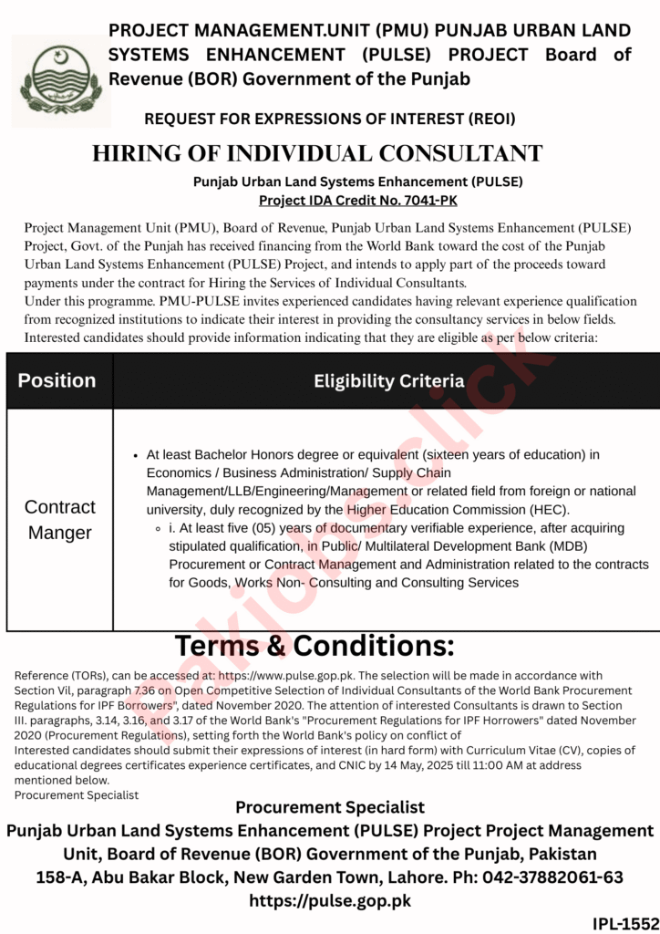 BOR Punjab Jobs 2025
